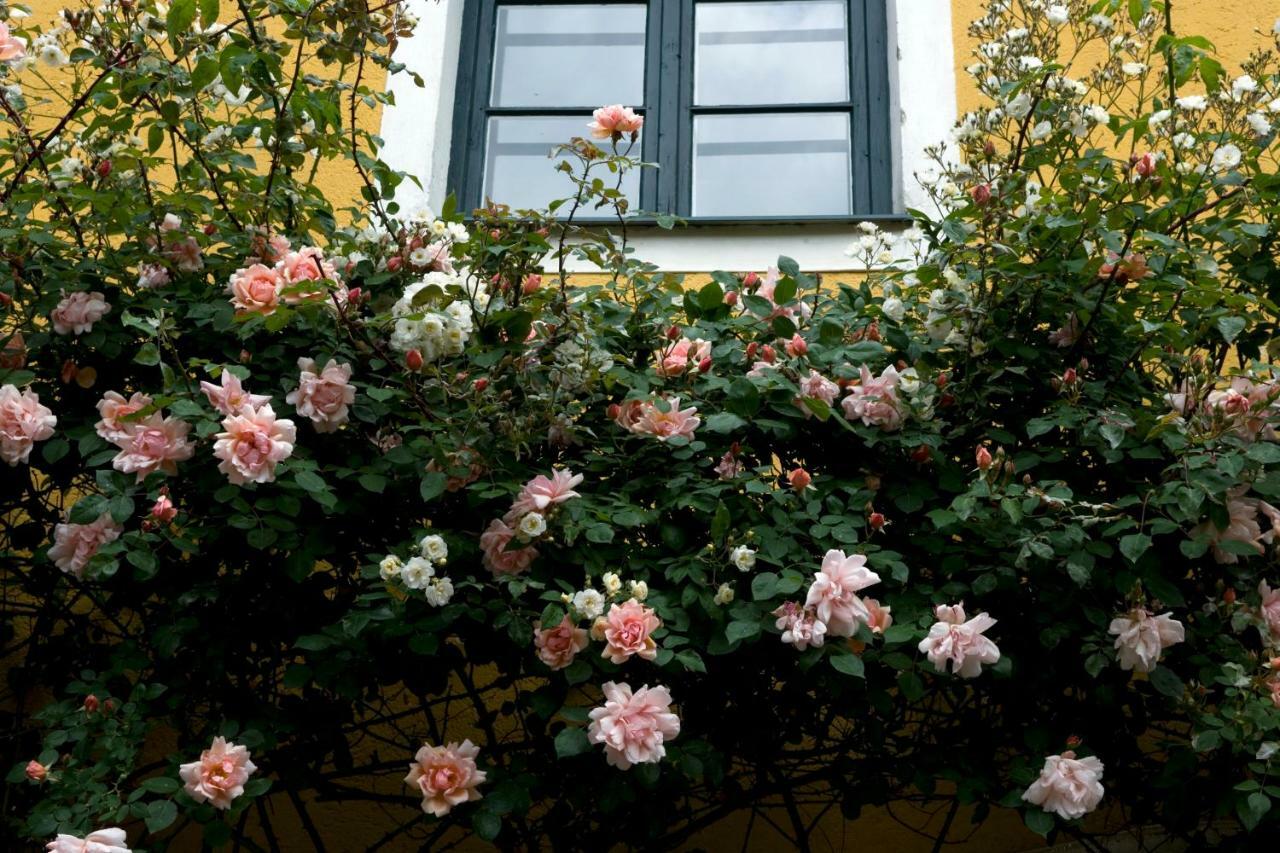 Wiedendorf Marienschloessl B&B 외부 사진
