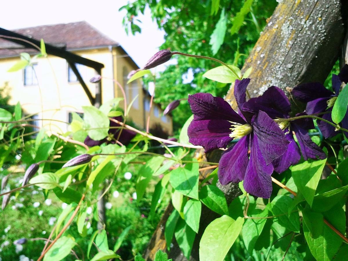 Wiedendorf Marienschloessl B&B 외부 사진
